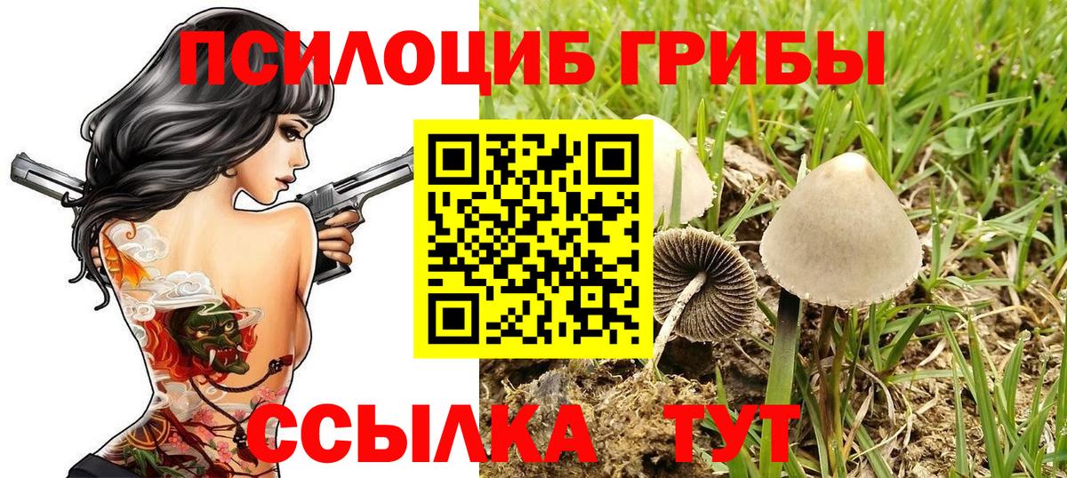 Гулькевичи  Галлюциногенные грибы Magic Shrooms  Вход с VPN 